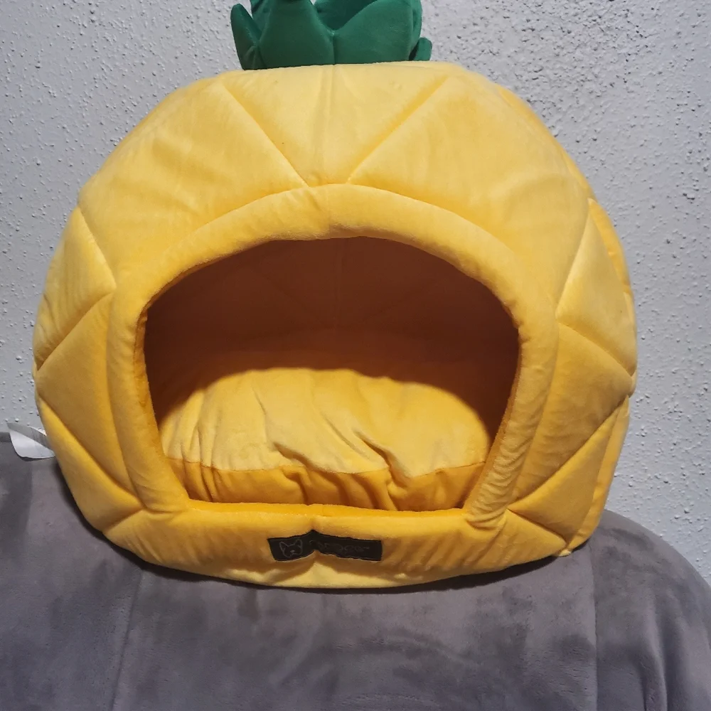 Nandog,pet gear